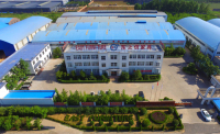 Luoyang Dongzhixin Import & Export Co.,ltd