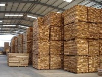 Xuzhou Hongtu Wood Industry Co., Ltd.