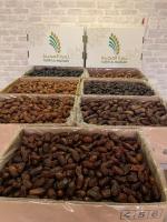 Company Tamrah Al-madinah Food Trading