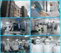Shenzhen Goldenfir Technology Co., Ltd.