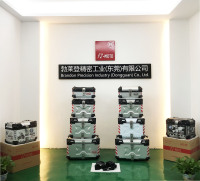 Braden Precision Industry (dongguan) Co., Ltd.