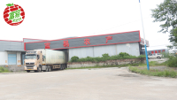 Guangdong Fuyi Agricultural Product Co., Ltd.