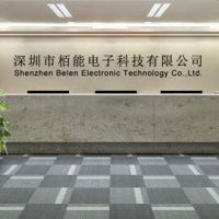 Shenzhen Belen Electronic Technology Co., Ltd.