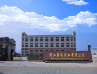 Zhejiang Insurfin Group Co., Ltd.