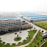 Chongqing Forward Commercial &trading Co., Ltd.