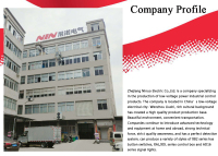 Zhejiang Ninuo Electric Co., Ltd.