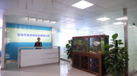 Dongguan Jinhongwei Cable Co., Ltd.