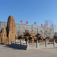 Shandong Hengwang Group Co., Ltd.