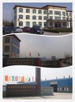 Linyi Yulong Building Materiasl Co., Ltd.