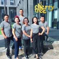Guangzhou Cherrytree International Trading Co., Ltd.