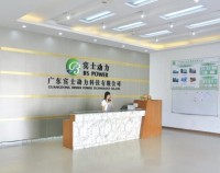 Guangdong Binshi Power Technology Co., Ltd.