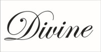Divine Outsourcing Solutions Private Limited