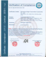 Nanchang Qinglin Automobile Accessories Co., Ltd.