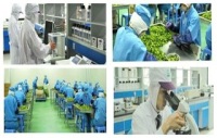Fujian Lixing Foods Co., Ltd.