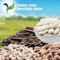 Yummy Food Industrial Group