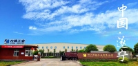 Chongqing Liyang Industry Co., Ltd.