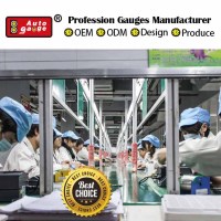 Auto Gauge (taiwan) Co., Ltd.