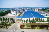 Shandong Zhonggu Starch Sugar Co., Ltd.