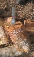 Firewood Beech Ash Oak Limited