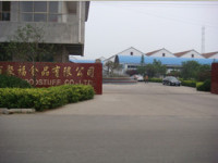 Shandong Jufu Foods Co., Ltd.