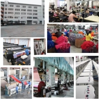 Shenzhen Weiyi Clothing Co., Ltd.