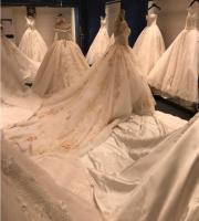 Suzhou Novias Wedding Dress Co., Ltd.