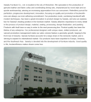 Shenzhen Sarady Technology Co., Ltd.